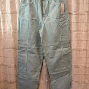 BDG pale robins egg blue carpenter pants 31" waist NWT